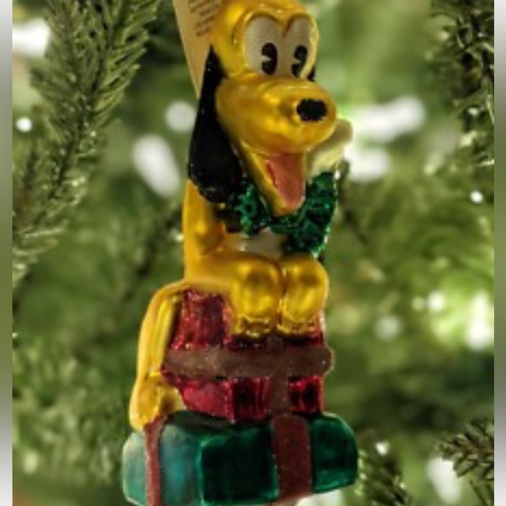 Noel Pluto
